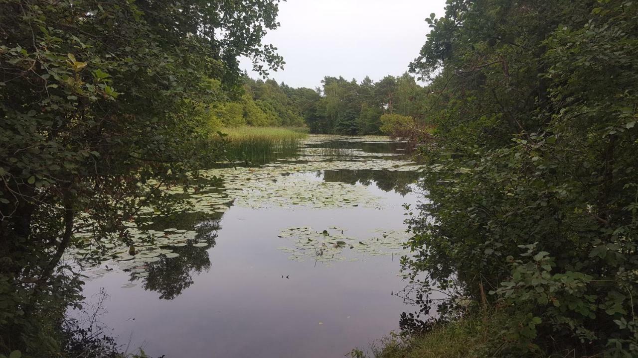 Domki Na Zytniej Kopalino Buitenkant foto