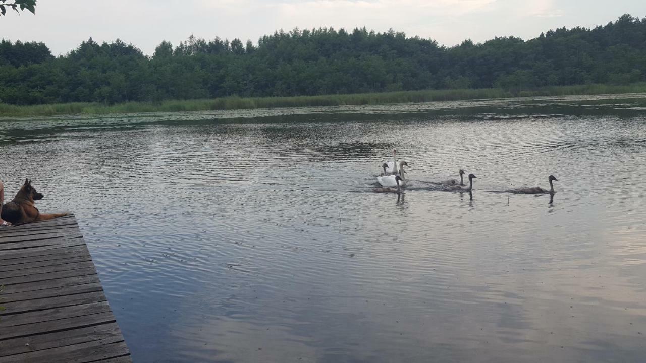 Domki Na Zytniej Kopalino Buitenkant foto